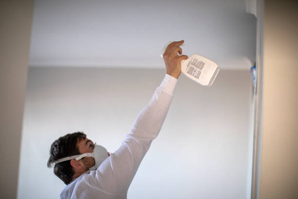 Best Black Mold Removal  in Kentfield, CA