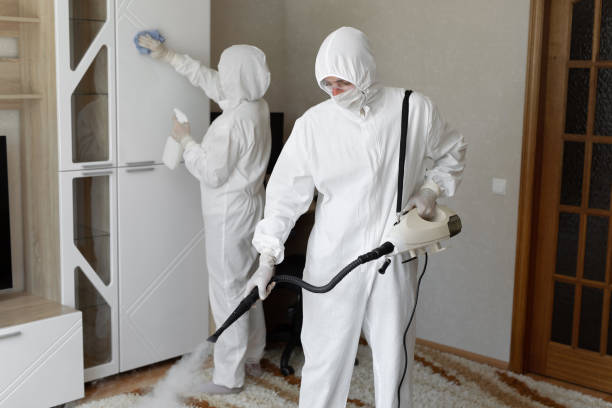 Best Commercial Mold Removal  in Kentfield, CA