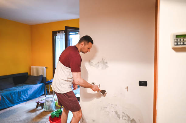 Best Attic Mold Removal  in Kentfield, CA