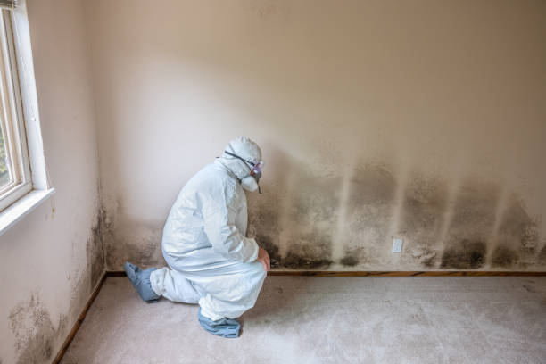 Best Mold Testing  in Kentfield, CA