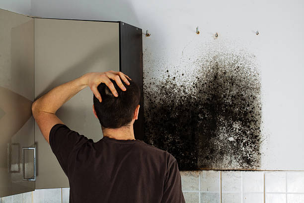 Best Mold Removal Company Near Me  in Kentfield, CA